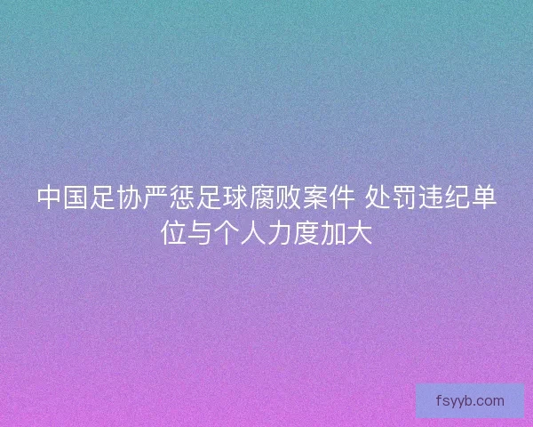 中国足协严惩足球腐败案件 处罚违纪单位与个人力度加大